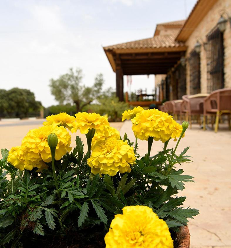 Hotel Rural La Moragona Vara Del Rey Extérieur photo